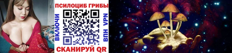 Галлюциногенные грибы GOLDEN TEACHER Купить где Избербаш