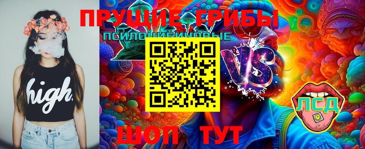 Галлюциногенные грибы Cubensis  Вход с VPN  Избербаш 