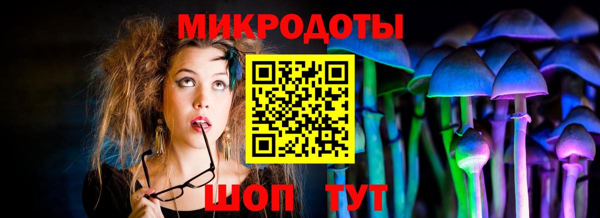 Галлюциногенные грибы Cubensis Избербаш